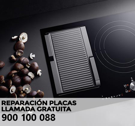 Reparación averías placa de cocción Bluesky